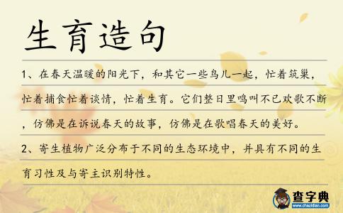 生育造句