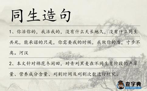 同生造句