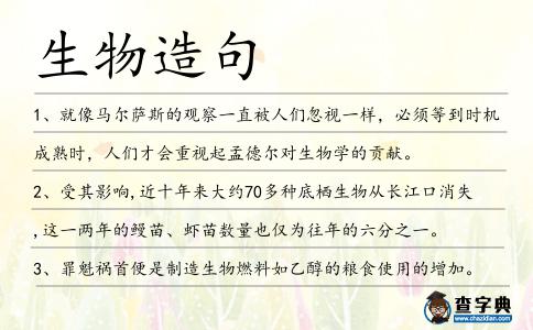 生物造句