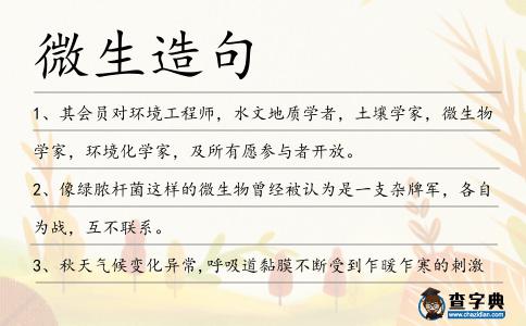 微生造句