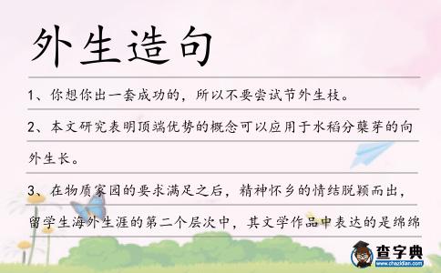 外生造句