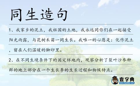 同生造句