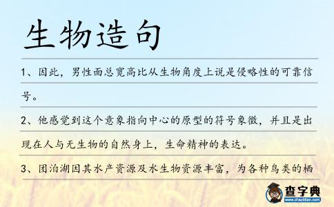 生物造句
