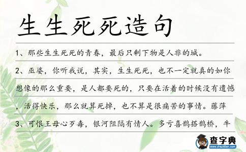 生生死死造句