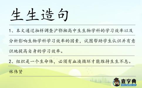 生生造句