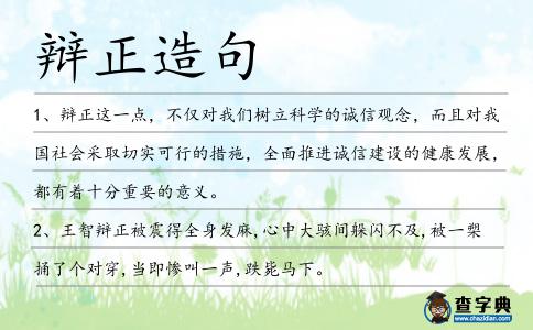 辯正造句