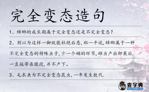 完全變態(tài)造句