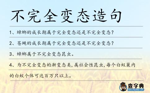 不完全變態造句