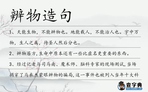 辨物造句