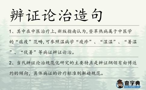 辨證論治造句