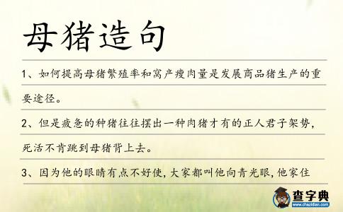 母豬造句