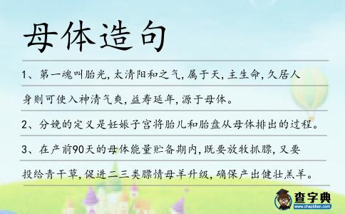 母體造句