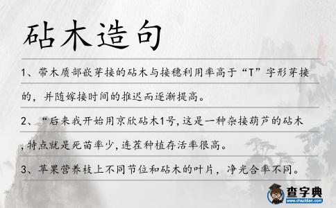 砧木造句
