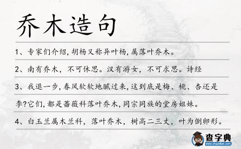 喬木造句