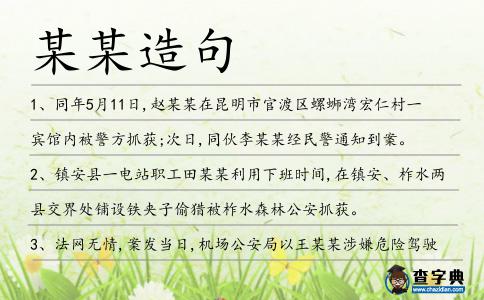 某某造句