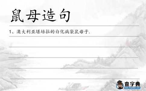 鼠母造句