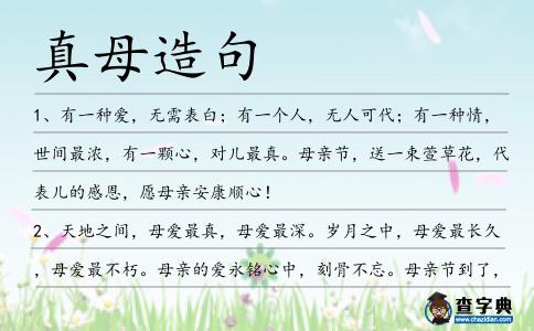 真母造句