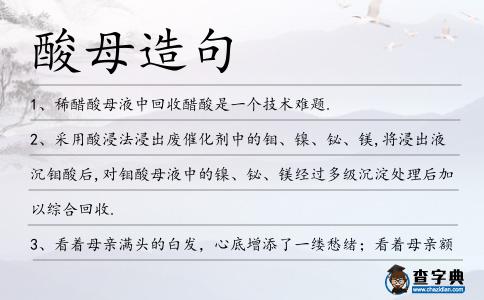 酸母造句