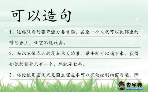 可以造句