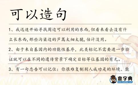 可以造句