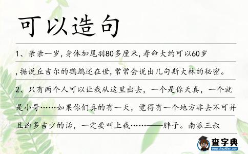 可以造句