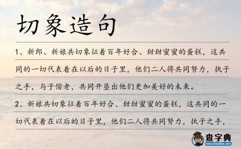 切象造句