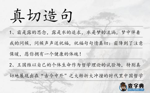 真切造句