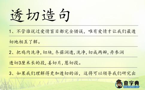 透切造句