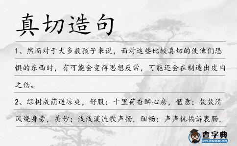 真切造句