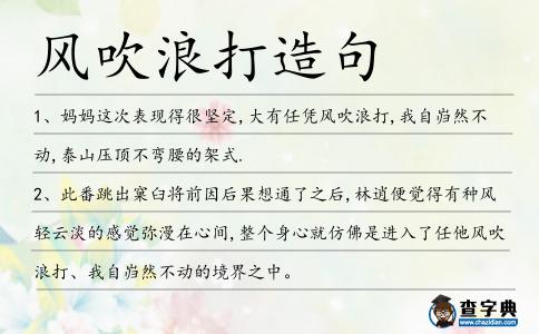 風吹浪打造句