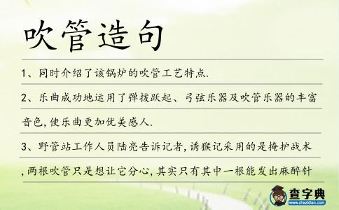吹管造句