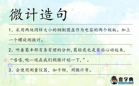 微計(jì)造句