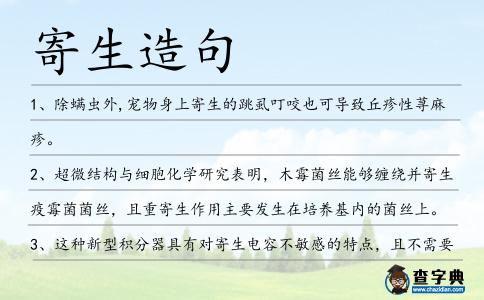 寄生造句