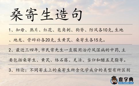 桑寄生造句