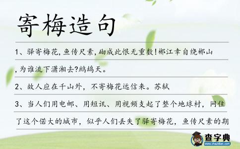寄梅造句