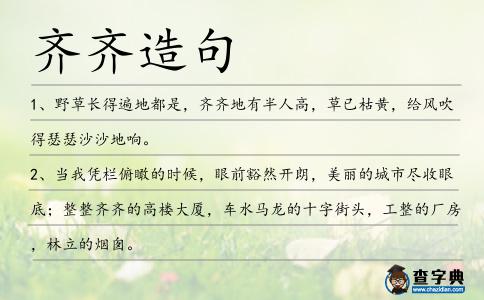 齊齊造句