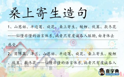 桑上寄生造句