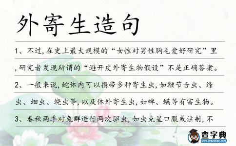 外寄生造句