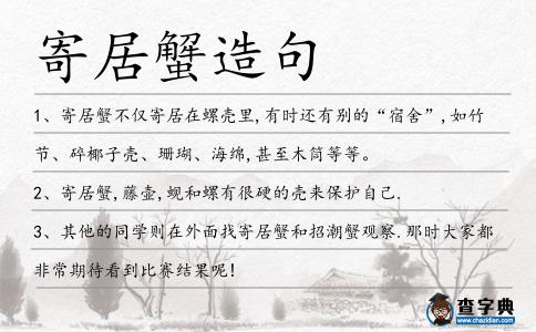 寄居蟹造句