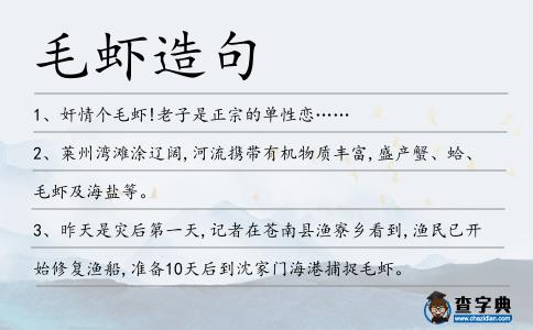 毛蝦造句