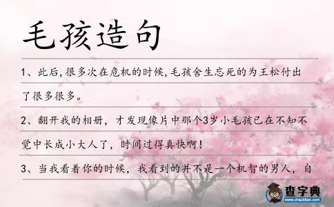 毛孩造句