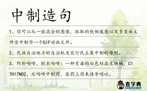 中制造句