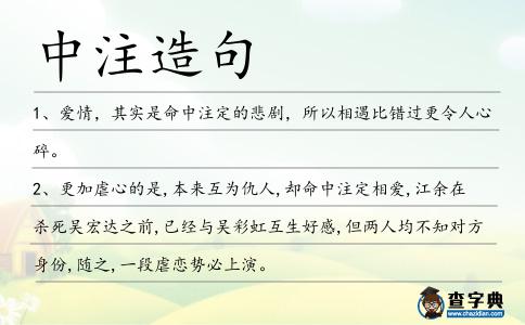 中注造句