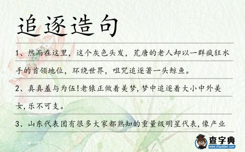 追逐造句