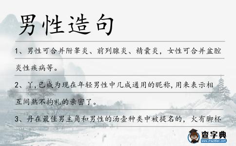 男性造句
