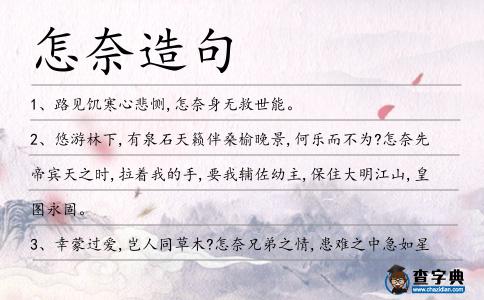 怎奈造句