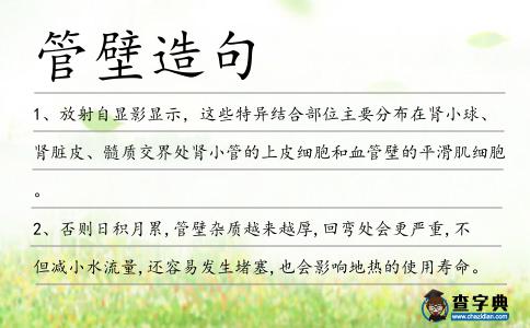 管壁造句