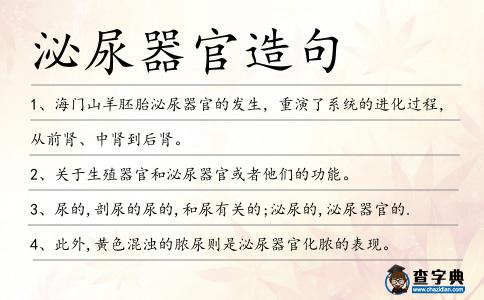泌尿器官造句