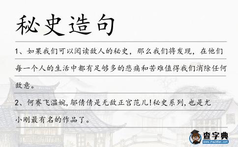 秘史造句