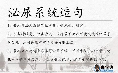 泌尿系統(tǒng)造句